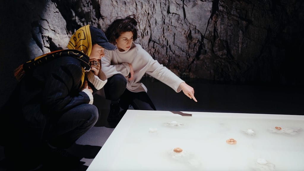 Women Conquer the Art Business - Sarah Rathgeb