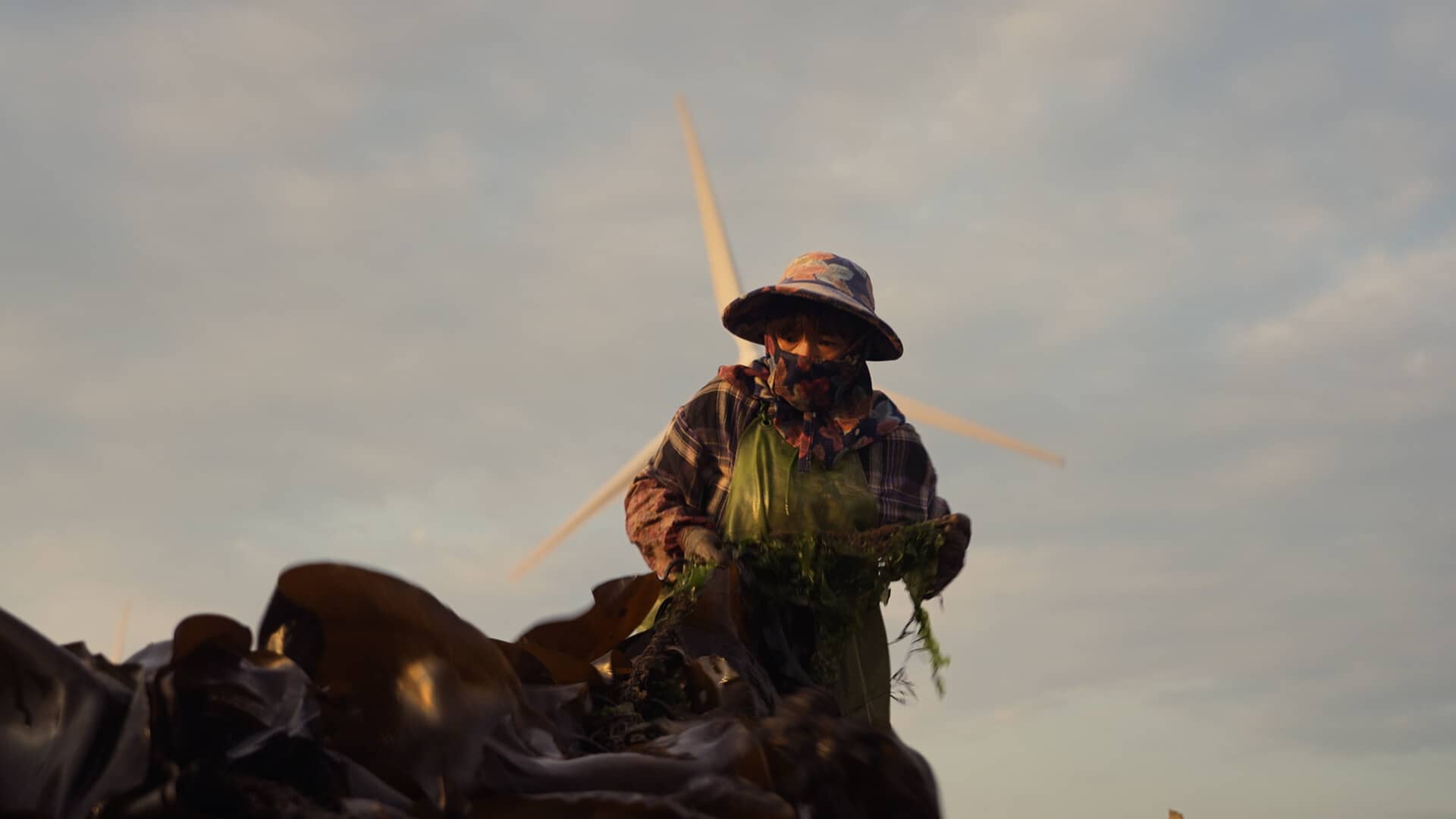 Daughters of Putien - Directed by Yunxia Wang