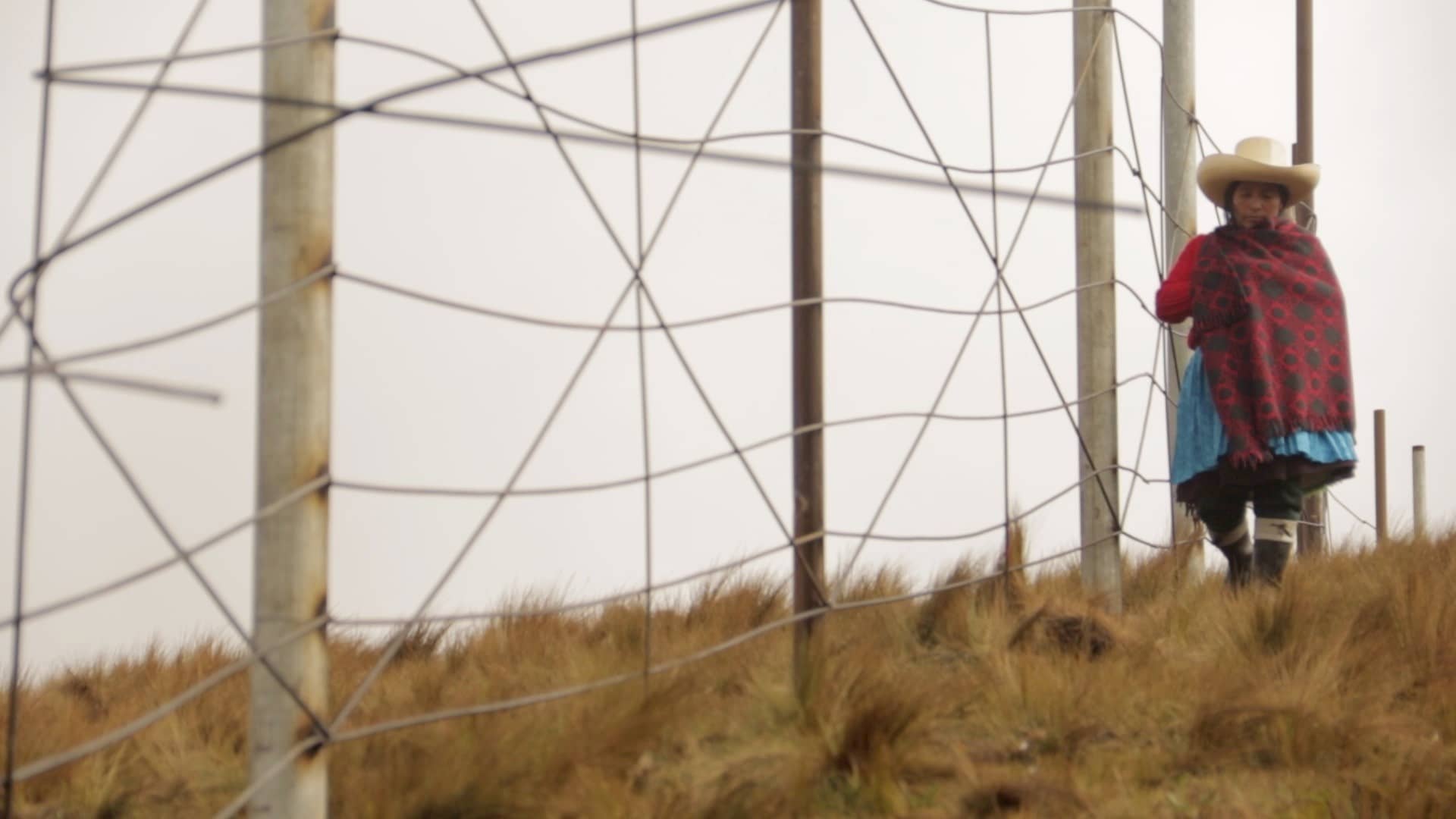 The Illusion of Abundance - Erika Gonzalez Ramirez, Matthieu Lietaert