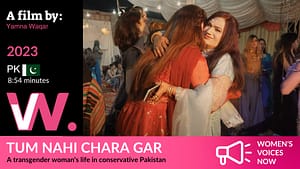Tum Nahi Chara Gar - You Are No Saviour