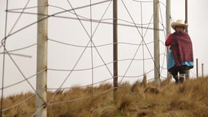 The Illusion of Abundance - Erika Gonzalez Ramirez, Matthieu Lietaert
