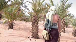 Moroccan Women's Strides: Empowerment Through Education