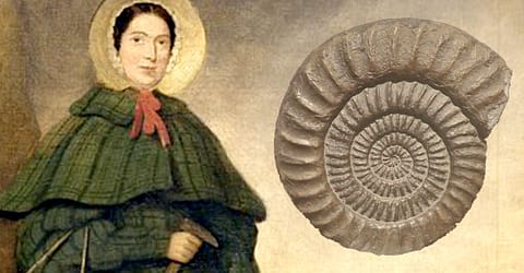 Mary Anning - The Trailblazing Fossil Collector of the Jurassic Coast