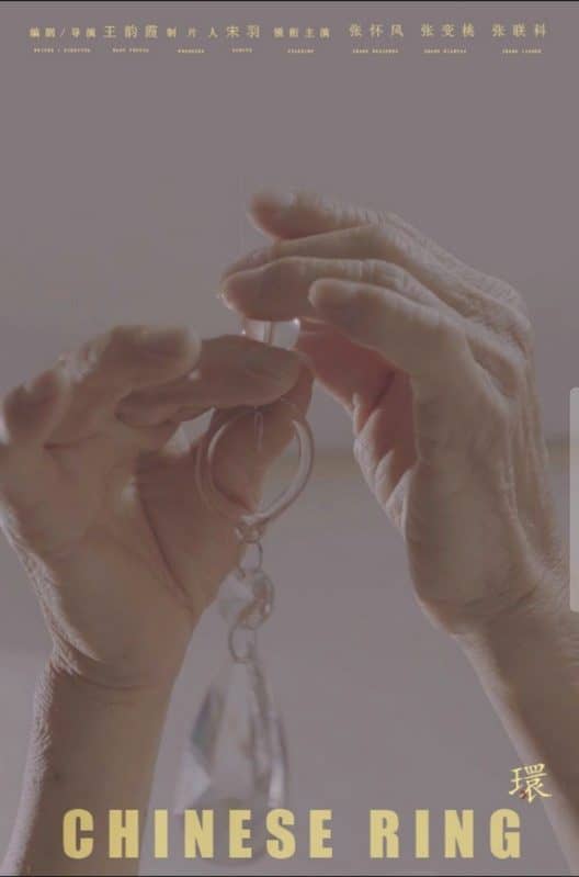 Chinese Rings - Yunxia Wang