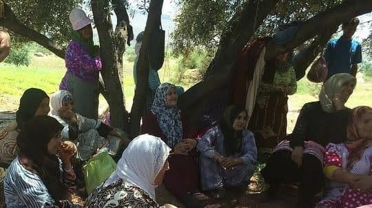 Moroccan Women's Strides: Empowerment Through Education
