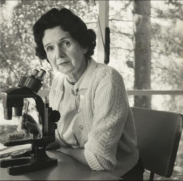 Rachel Carson - National Portrait Gallery