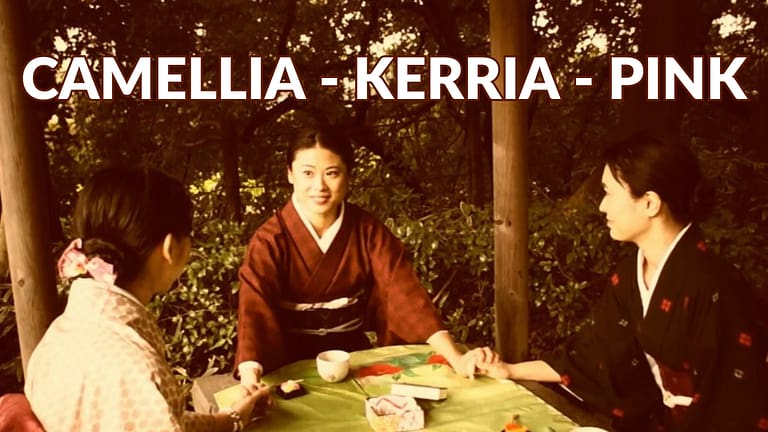 Camellia - Kerria - Pink - Tomoko Karina