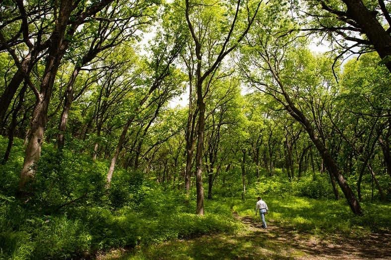 Ponca tribe: Nature is a sacred thing to love and to respect, not to destroy.