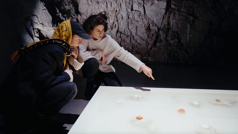 Women Conquer the Art Business - Sarah Rathgeb