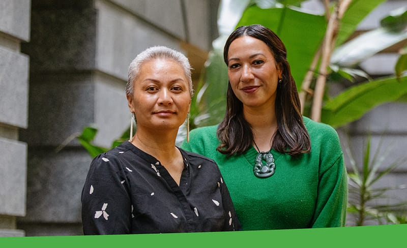 Marama Davidson - From Grassroots Activism to Green Party Leadership 4