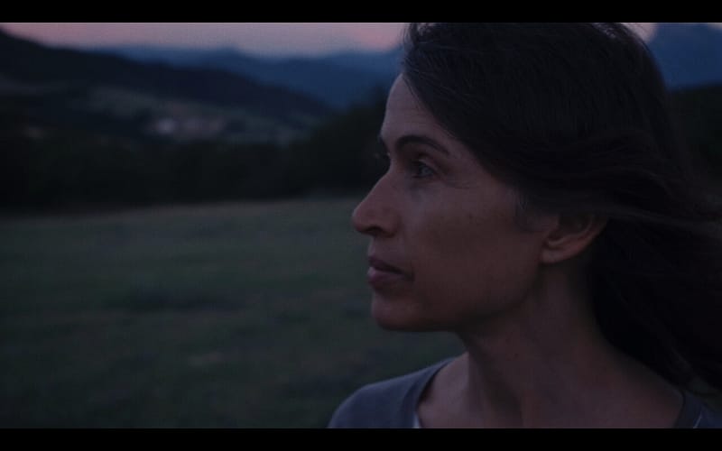 Wild Women - Cécile Mavet. With: Petite Soeur Elie Emmanuel, Nathalie Delay, Annick de Souzenelle, Hayat Nur Artiran, Rabbi Shefa Golda