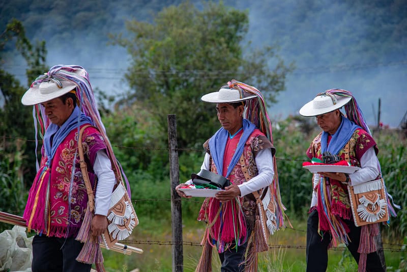 The Unfinished Conquest of the Indigenous Lands in Mexico - Banner