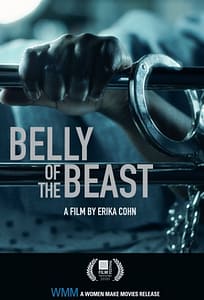 Belly of the Beast - Erica Cohn2